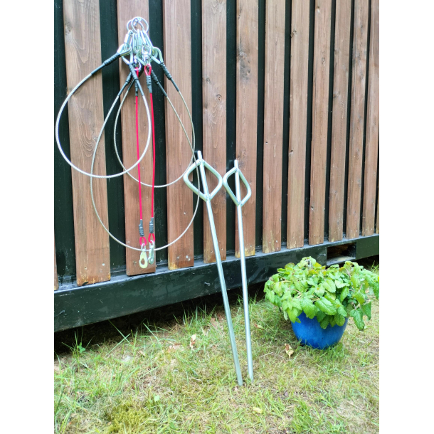 Tjreline i samlest til hunde (stake out)