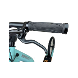 Gravity Scooters M10