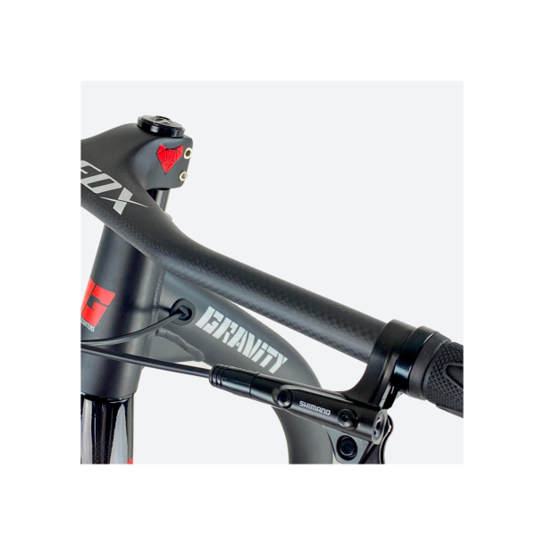 Gravity Scooters Pulka R