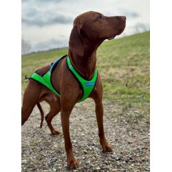 Storm Harness