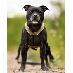 VIP Multisport Staff Sele