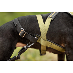 VIP Multisport Staff Sele