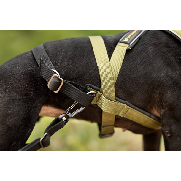 VIP Multisport Staff Sele