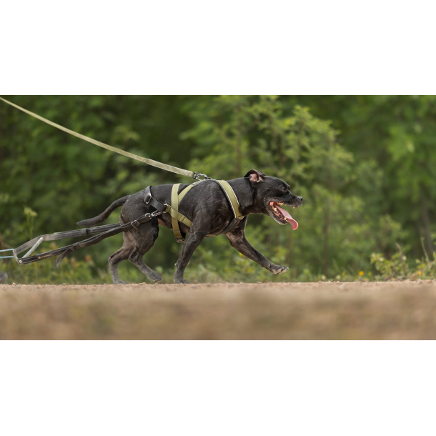 VIP Multisport Staff Sele