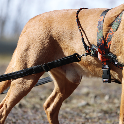 VIP Weight pulling kit