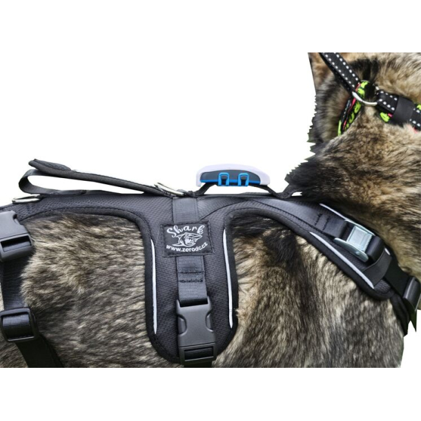 Shark Harness
