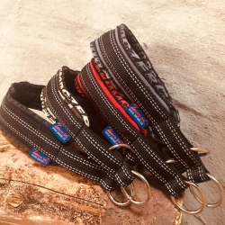 ZeroDC Blizzard Royal Halsbnd