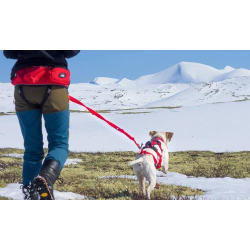 I-DOG Comfort Trek Elastikline
