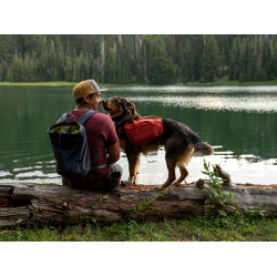 Ruffwear Daypack Rygsk