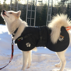 Fast Track Dkken fra Dragrttan