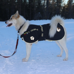 Fast Track Dkken fra Dragrttan