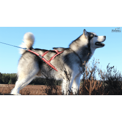 Dragrttan X-back trksele