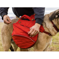 Ruffwear Palisades Rygsk, Red Sumac