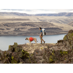 Ruffwear Palisades Rygsk, Red Sumac