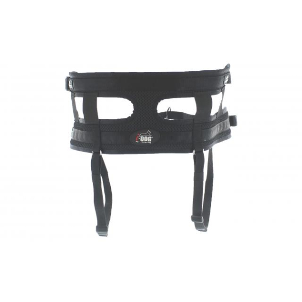 RAIDLIGHT Canicross Blte