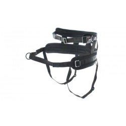 RAIDLIGHT Canicross Blte