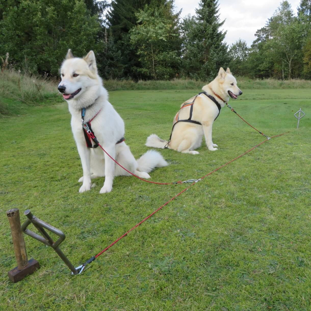 Stake-out &amp; Stake-out spyd